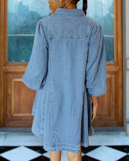 Hedy Denim Mini Dress